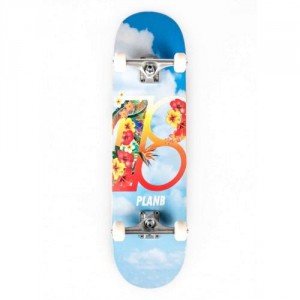 Tabla Skate Completa Plan B Hawaii 8.25''